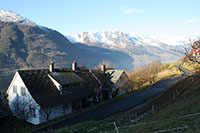 farm